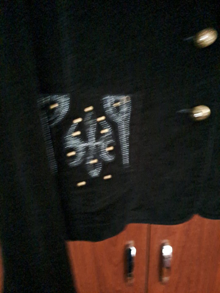 Siyah Nakışlı  Kadın Blazer Ceket - Görsel 2