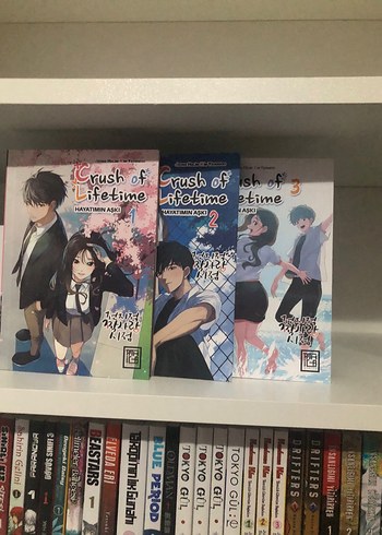 Crush of Lifetime webtoon