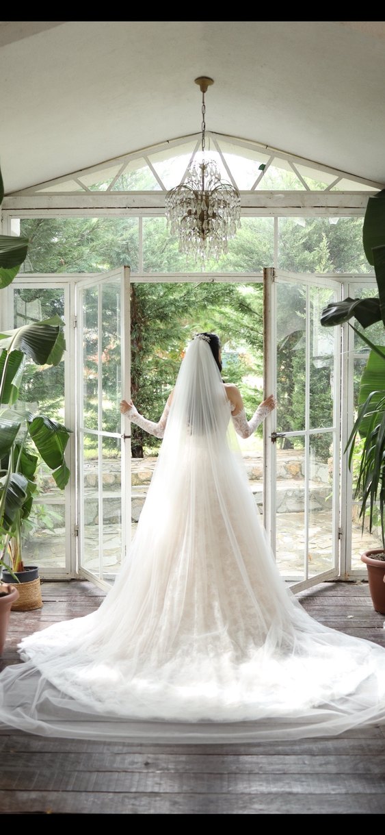 Uzun Kollu Straplez A kesim Fransız  Gelinlik - Görsel 2