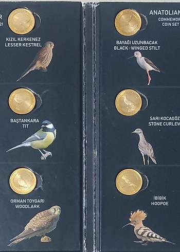 ANADOLU'YA ÖZGÜ KUŞLAR SERİSİ 2021 - Görsel 2