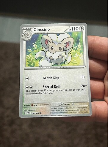 Cinccino 137/162 | 2024 Pokemon