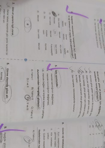 11. Sınıf Soru Bankası Kazanım Testleri azıcık çözüldü - Görsel 3