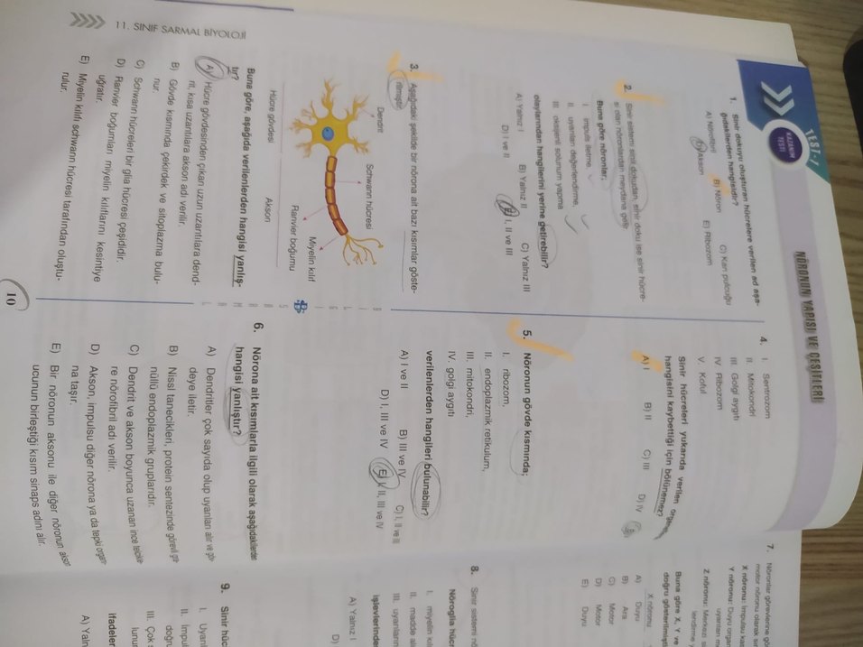 11. Sınıf Soru Bankası Kazanım Testleri azıcık çözüldü - Görsel 4