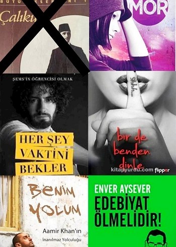 Stefan ZWEIG, Kırlangıç Çığlığı, Tolstoy, Gülseren BUDAYICIOĞLU - Görsel 3