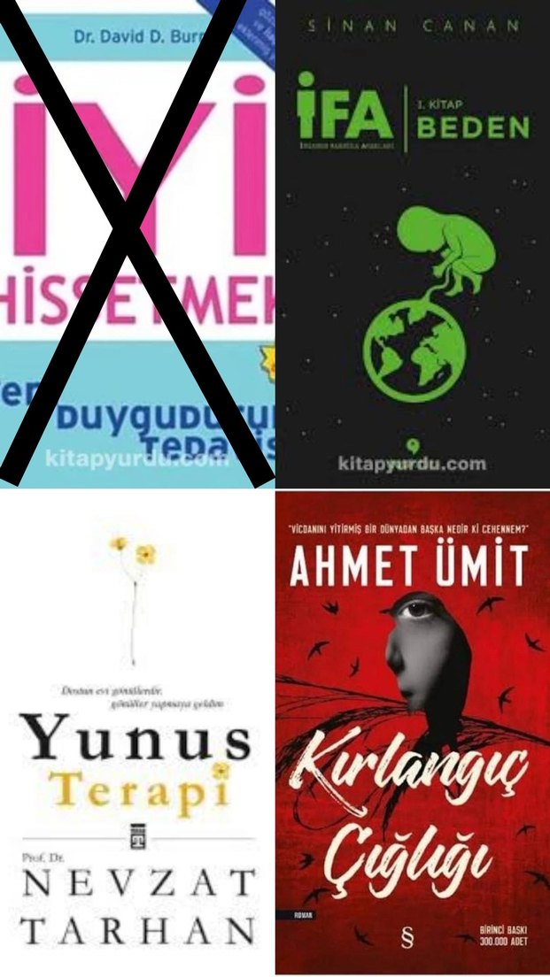 Stefan ZWEIG, Kırlangıç Çığlığı, Tolstoy, Gülseren BUDAYICIOĞLU - Görsel 2