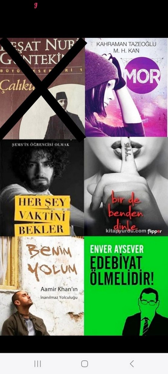 Stefan ZWEIG, Kırlangıç Çığlığı, Tolstoy, Gülseren BUDAYICIOĞLU - Görsel 3