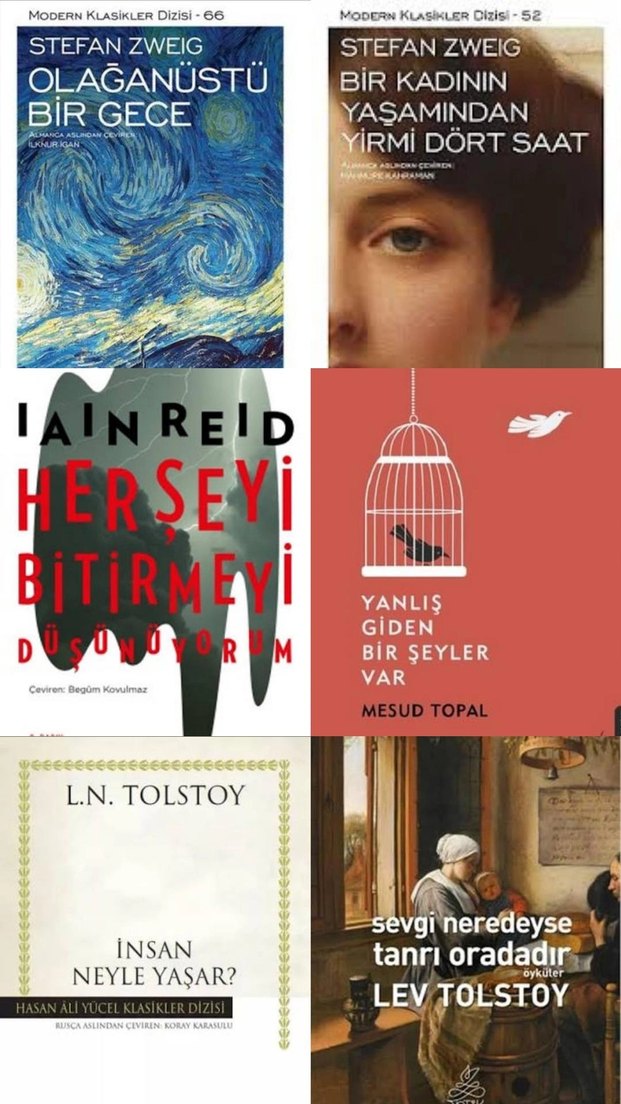 Stefan ZWEIG, Kırlangıç Çığlığı, Tolstoy, Gülseren BUDAYICIOĞLU - Görsel 4