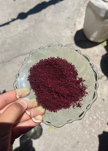 Diğer Koyu Bordo Renkli sumak