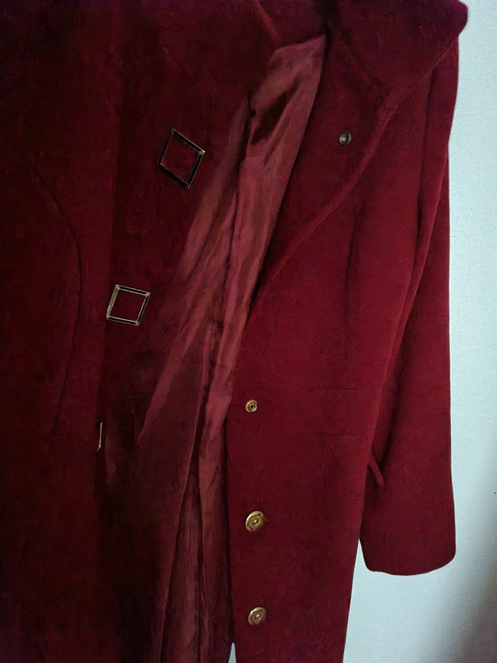 Kirmizi Kaban - Görsel 3