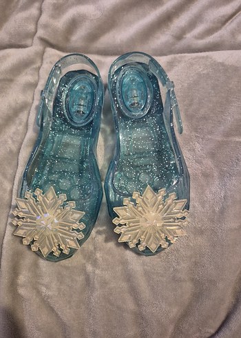 Walt Disney World 24