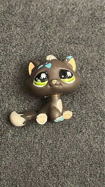 Tabbycat
