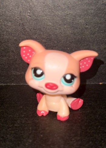 LPS 24