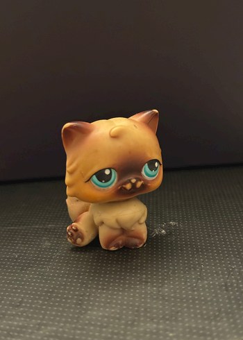 lps miniş
