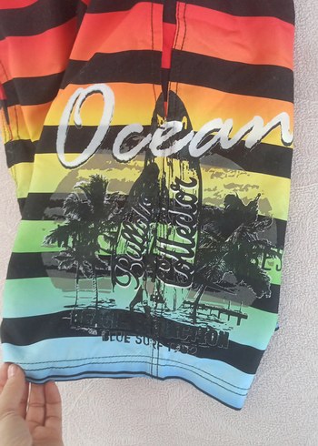 Renkli Çizgili Erkek Mayo Şortu - Görsel 6