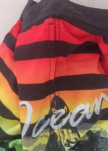 Renkli Çizgili Erkek Mayo Şortu - Görsel 8