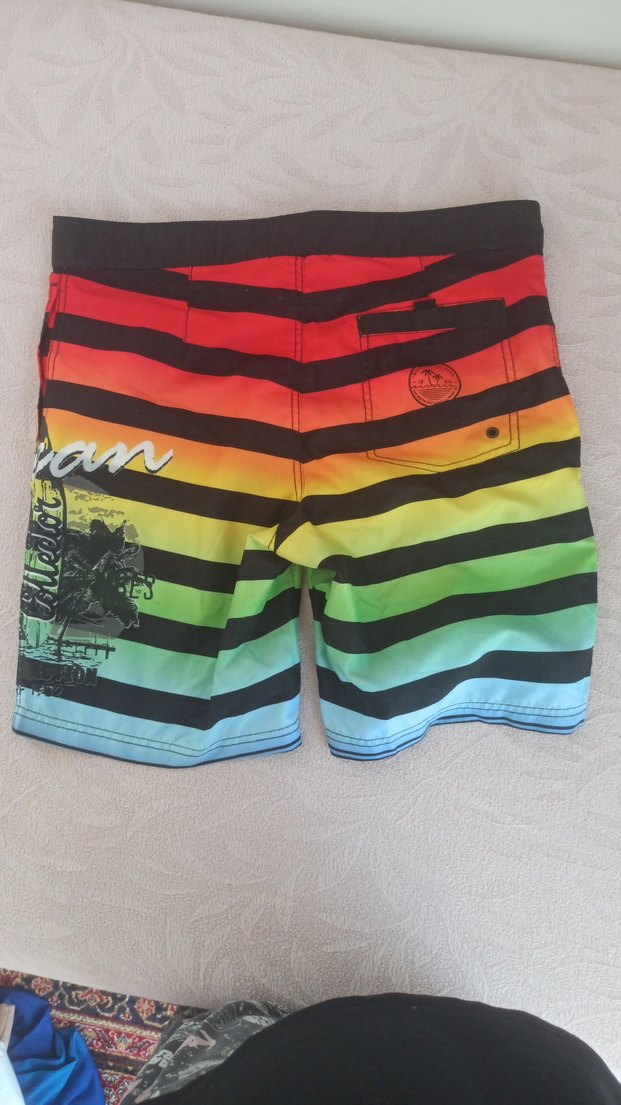 Renkli Çizgili Erkek Mayo Şortu - Görsel 2