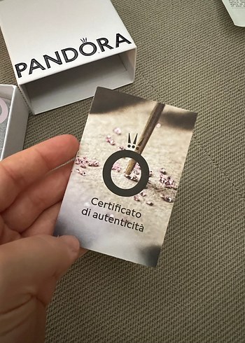 Beden Pandora Moments Bangle Bileklik