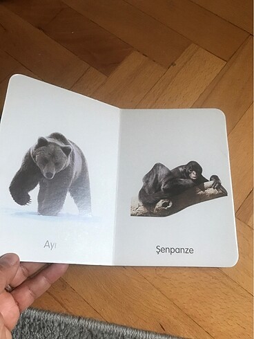 Beden Renk Çocuklara egitici kitap