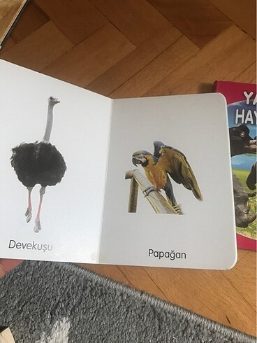 Diğer Çocuklara egitici kitap