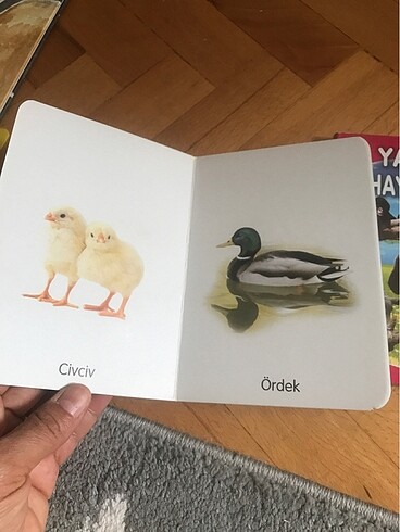  Beden Çocuklara egitici kitap