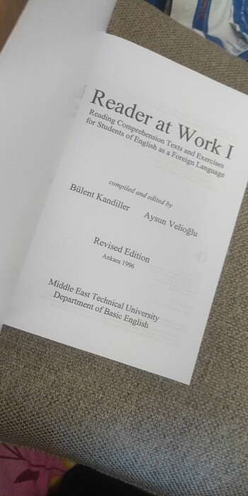  Reader at Work I
