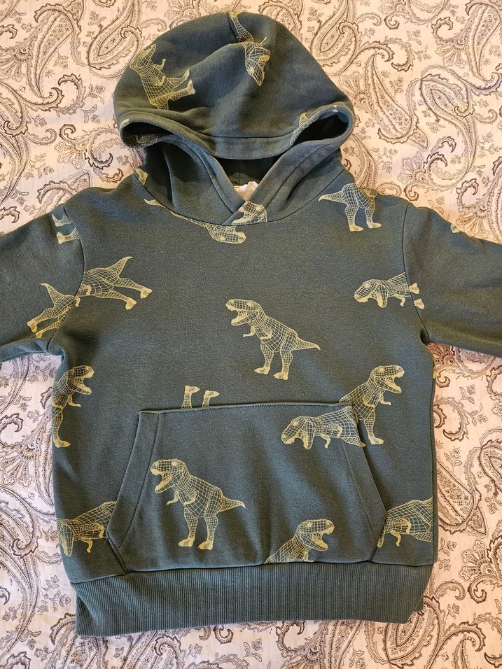 H&M Dinozor desenli kapüşonlu sweatshirt - Görsel 2