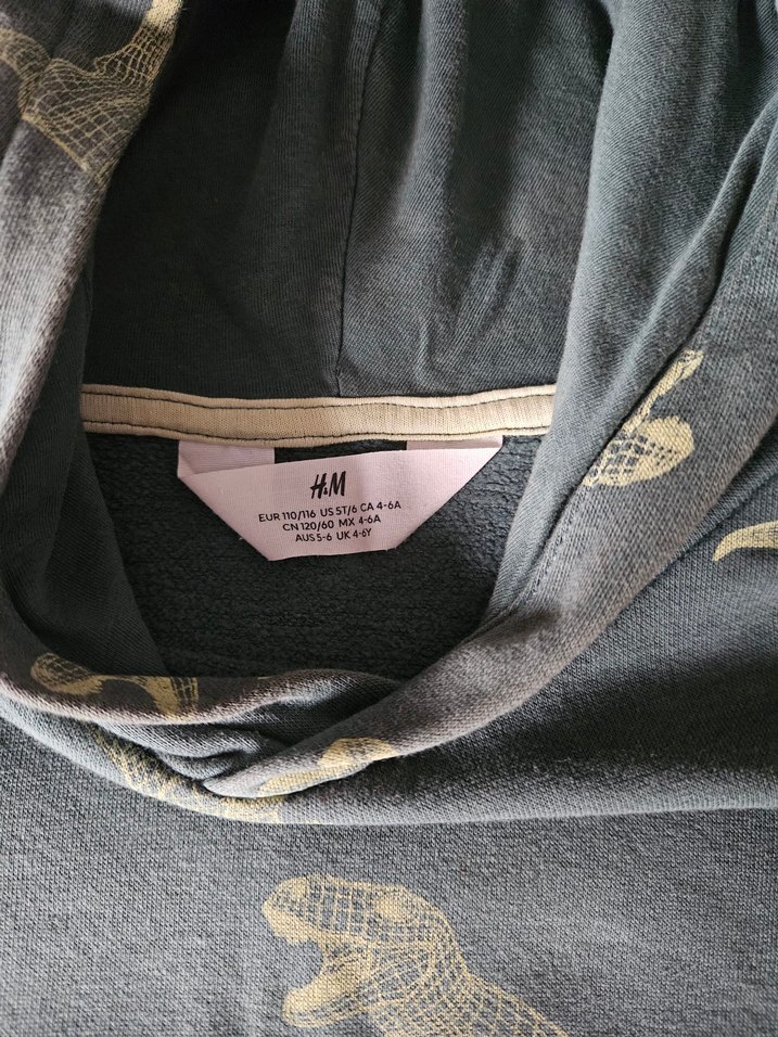 H&M Dinozor desenli kapüşonlu sweatshirt - Görsel 5