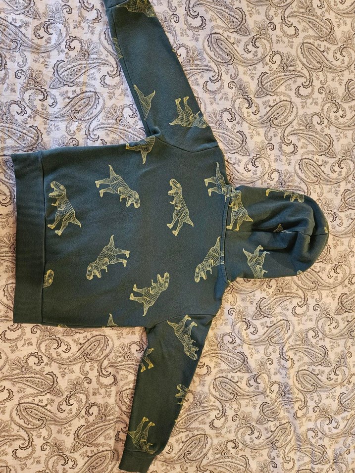 H&M Dinozor desenli kapüşonlu sweatshirt - Görsel 3