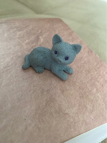 Miniş kedi brıtısh kedi