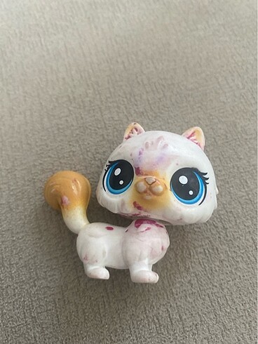  Beden Renk Pamuk kedi