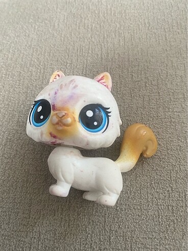  Pamuk kedi