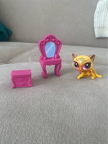 Miniş Kedi ve aksesuarı