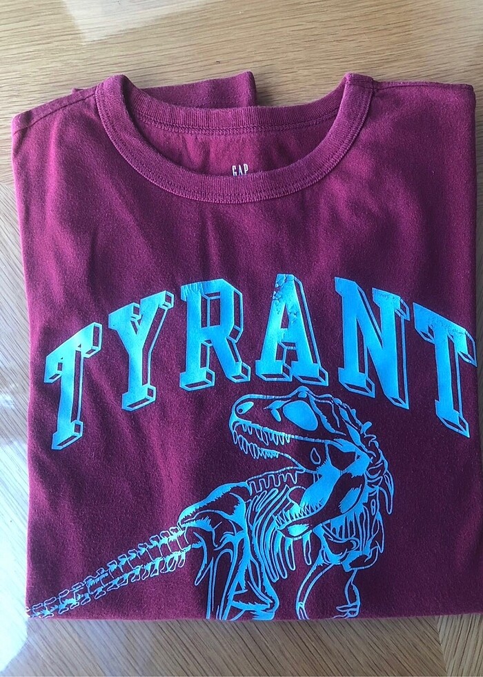 Gap Kids Erkek Çocuk - Görsel 2