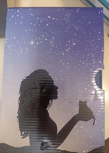 kuzey yıldızı kitap ciltli kutulu