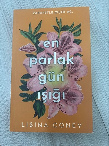 En parlak gün ışığı
