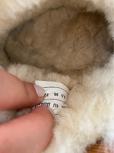 Ugg Bot