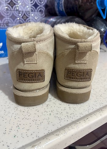 Pegia 36