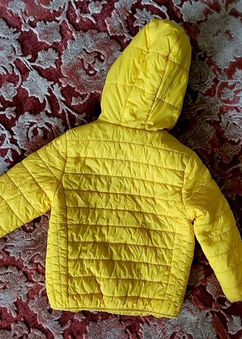 Kapüşonlu Sarı Erkek Çocuk Mont - Görsel 2