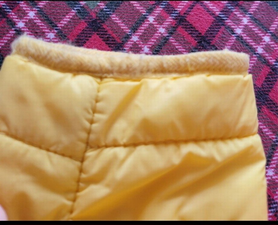 Kapüşonlu Sarı Erkek Çocuk Mont - Görsel 4