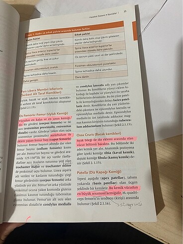 Anatomi kitabı