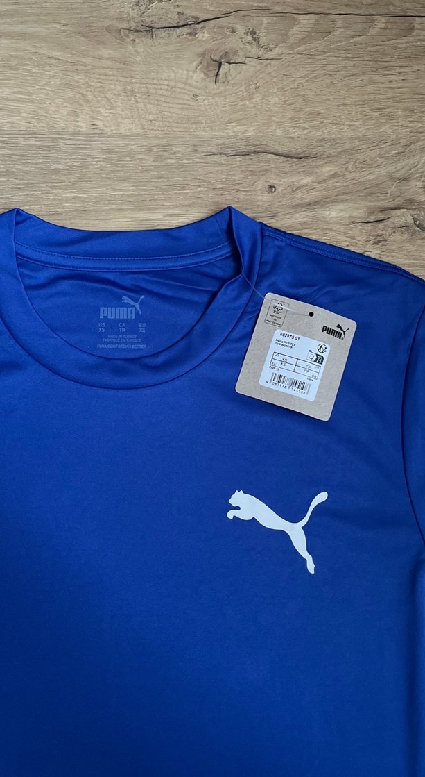 Mavi Puma Erkek Kısa Kollu Tişört - Görsel 2