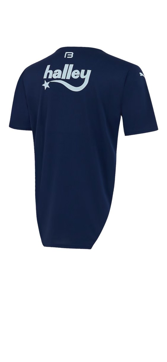 Mavi Erkek Kısa Kollu Fenerbahçe Forması - Görsel 3