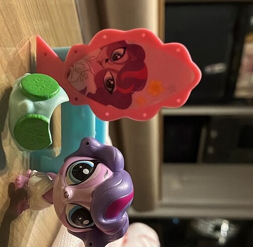 Köpek Miniş SET!