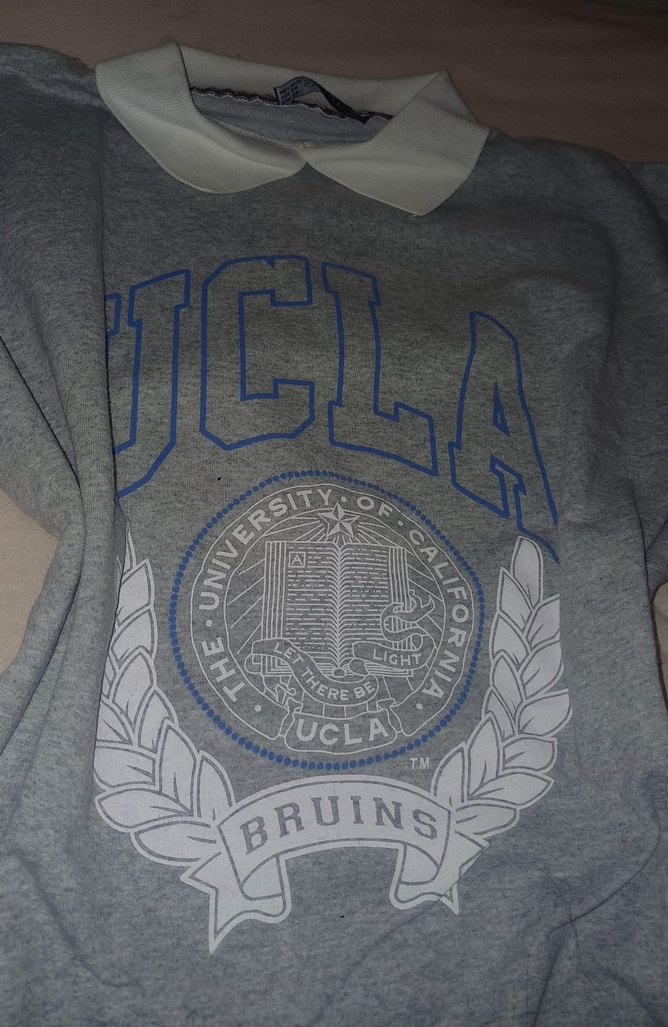 Kadın Gri Sweatshirt Uzun Kollu Baskılı - Görsel 2