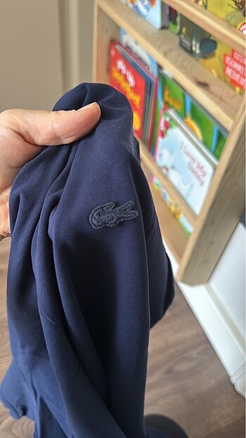 m Beden lacivert Renk Lacoste bisiklet yaka tişört