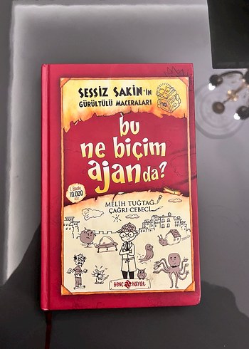 Sessiz Sakinin Gürültülü Maceraları çocuk kitap serisi - Görsel 16