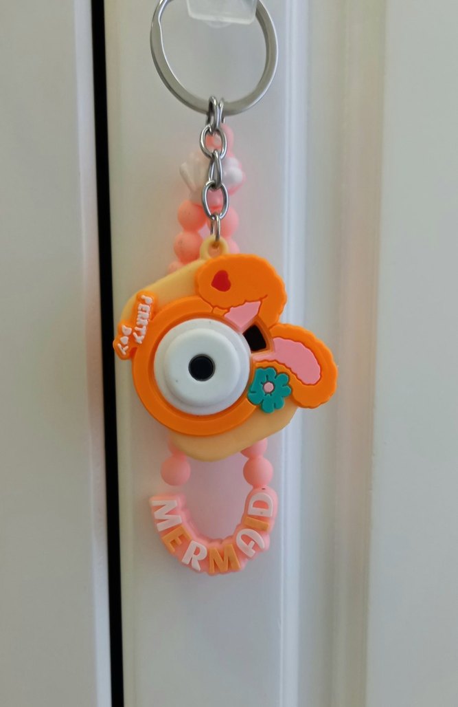 Fotoğraf makinesi Anahtarlık - Görsel 2