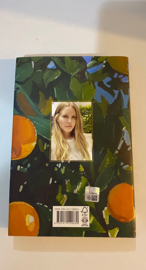 Violet Bent Backwards Over the Grass - Şiir Kitabı - Görsel 4