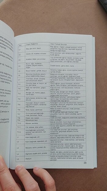  Beden Renk Dorn Method