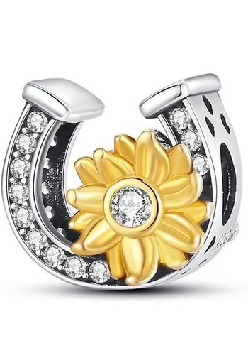 Pandora 925 ayar gümüş Charm - Görsel 3